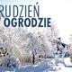 Zima w ogrodzie: jak zadbać o rośliny zimą? Zima w ogrodzie: jak zadbać o rośliny zimą?